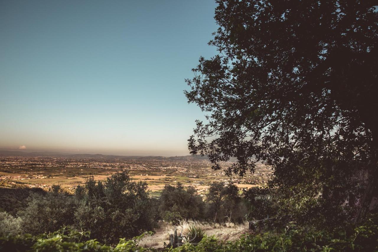 Villa Desiderio Tuscany Pistoia Exteriér fotografie