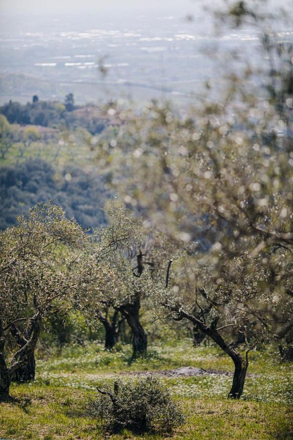 Villa Desiderio Tuscany Pistoia Exteriér fotografie