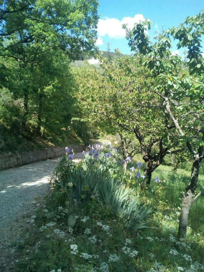Villa Desiderio Tuscany Pistoia Exteriér fotografie